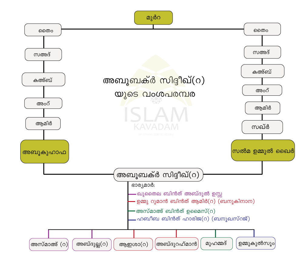 Family-Tree-of-Abubakr-siddiq